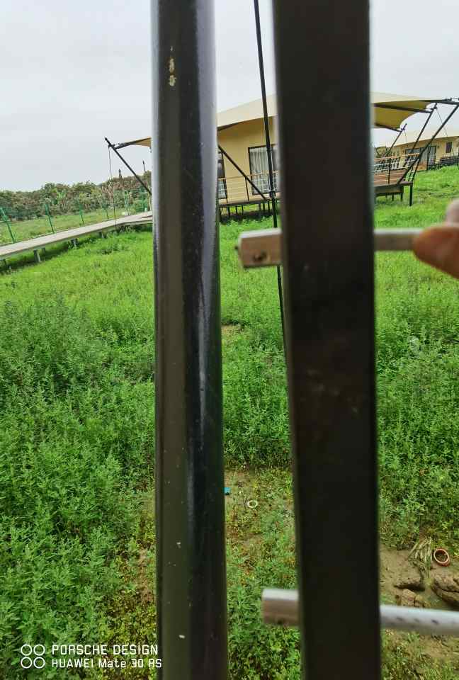 张拉膜景观棚多少钱一平-2